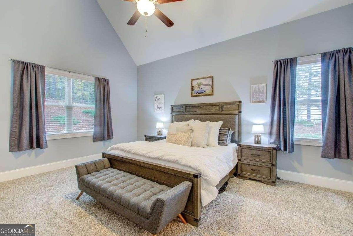 401 Night Hawk Court Canton - 23