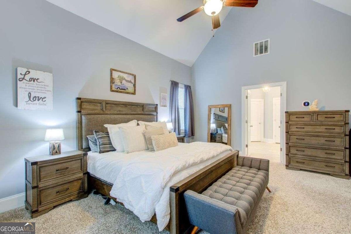 401 Night Hawk Court Canton - 24