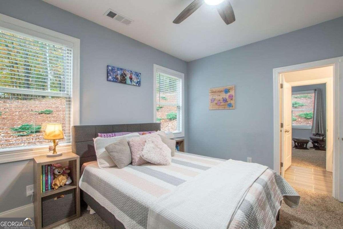 401 Night Hawk Court Canton - 30