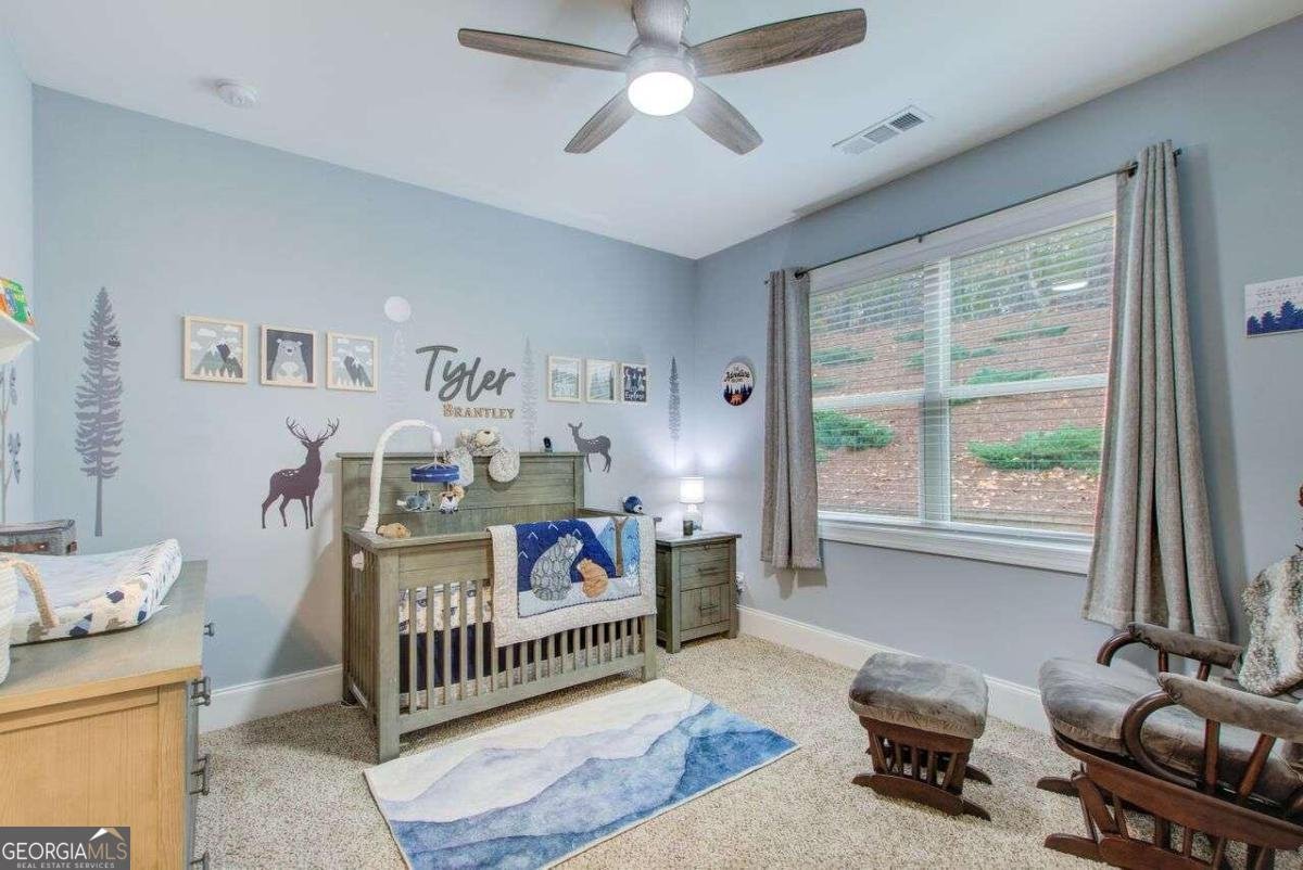 401 Night Hawk Court Canton - 34