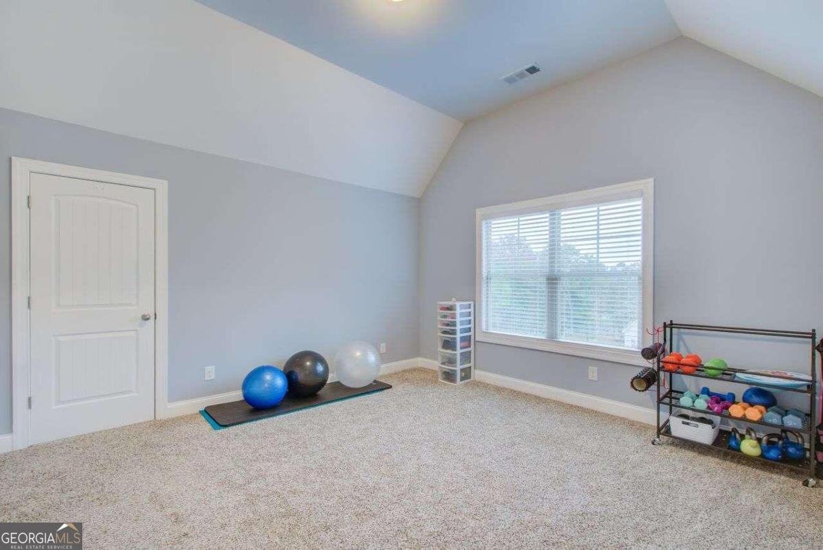 401 Night Hawk Court Canton - 39