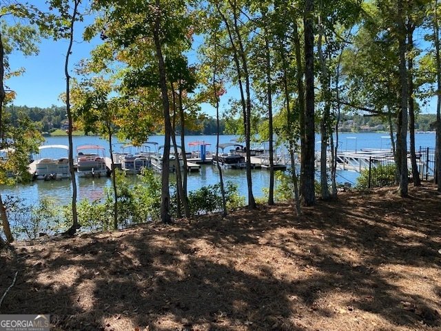 LOT 35 WATERVIEW COURT Newnan - 59