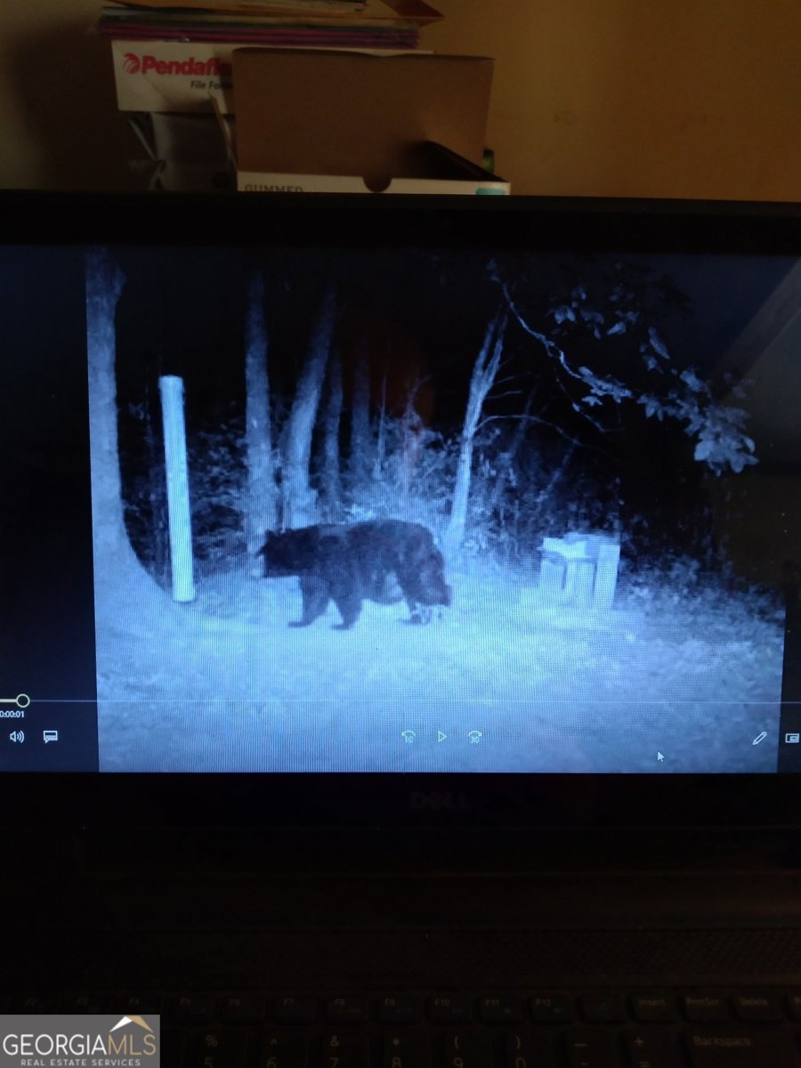 1575 Lloyds Cove Scaly Mountain - Photo 33