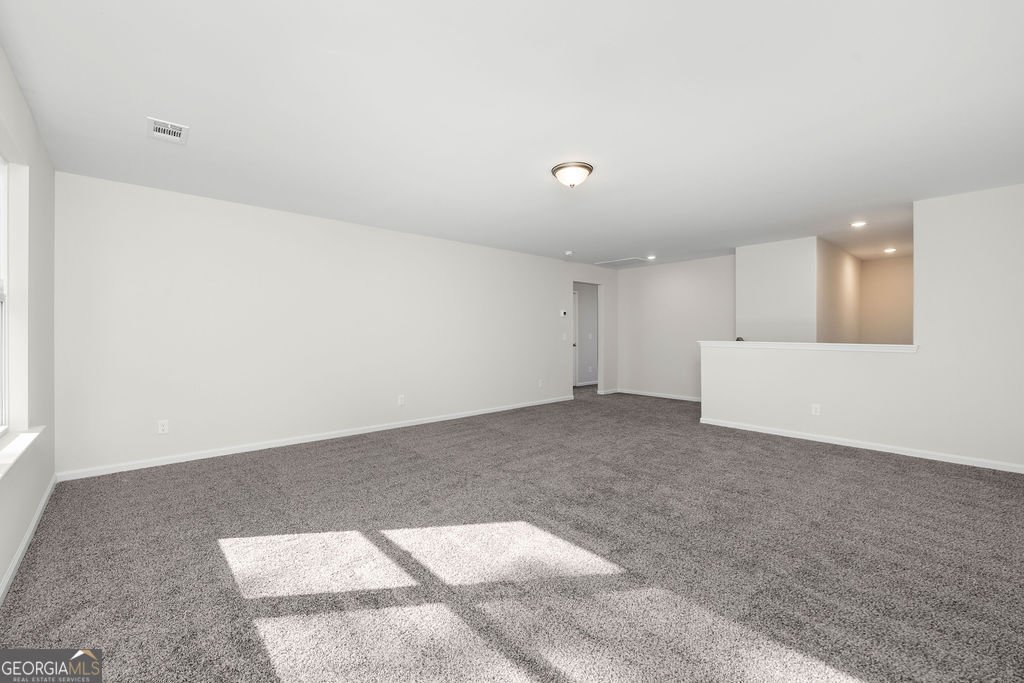 111 Pioneer Way Kingsland - 23