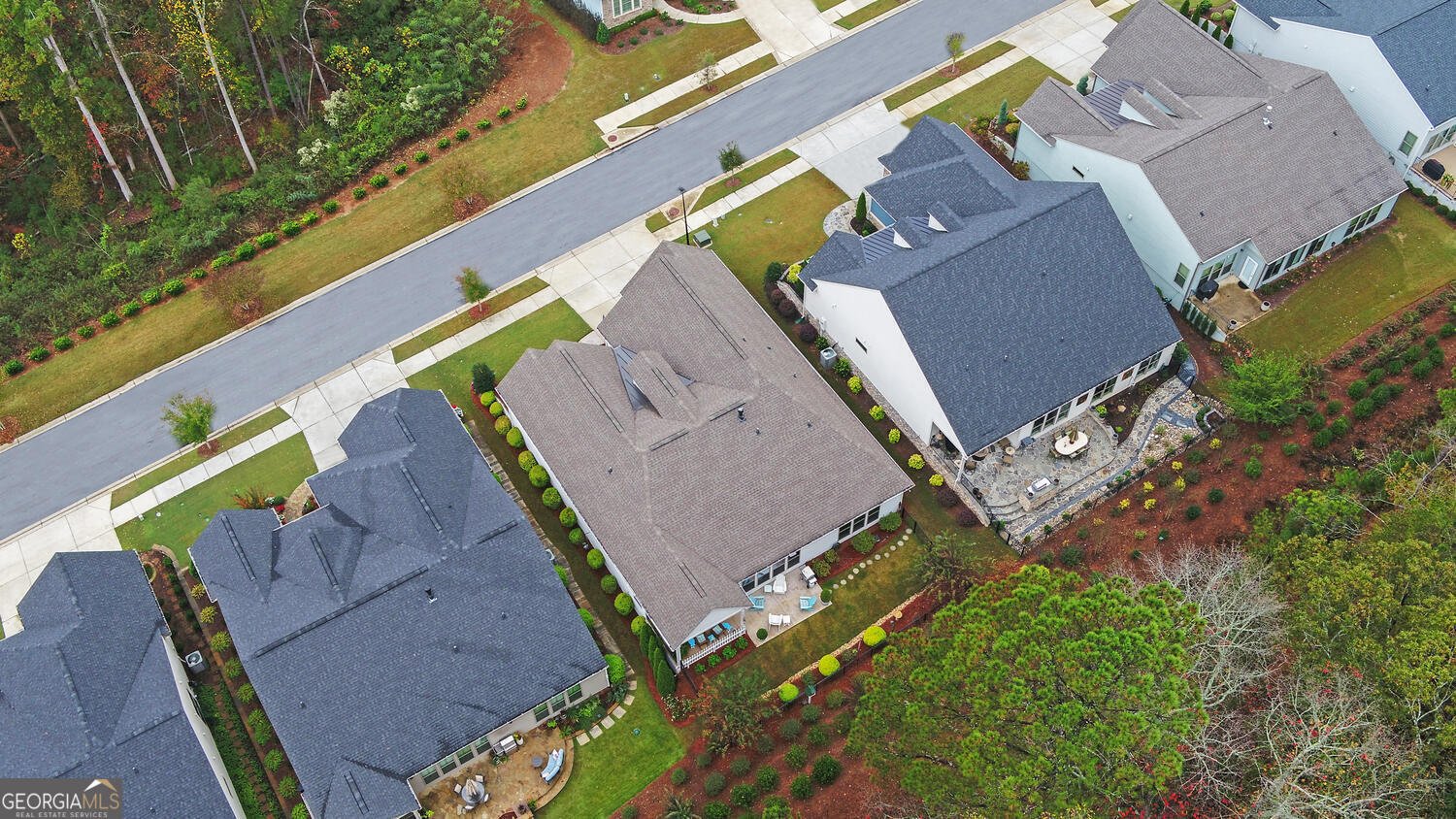 5645 Willow Springs Place Hoschton - 42