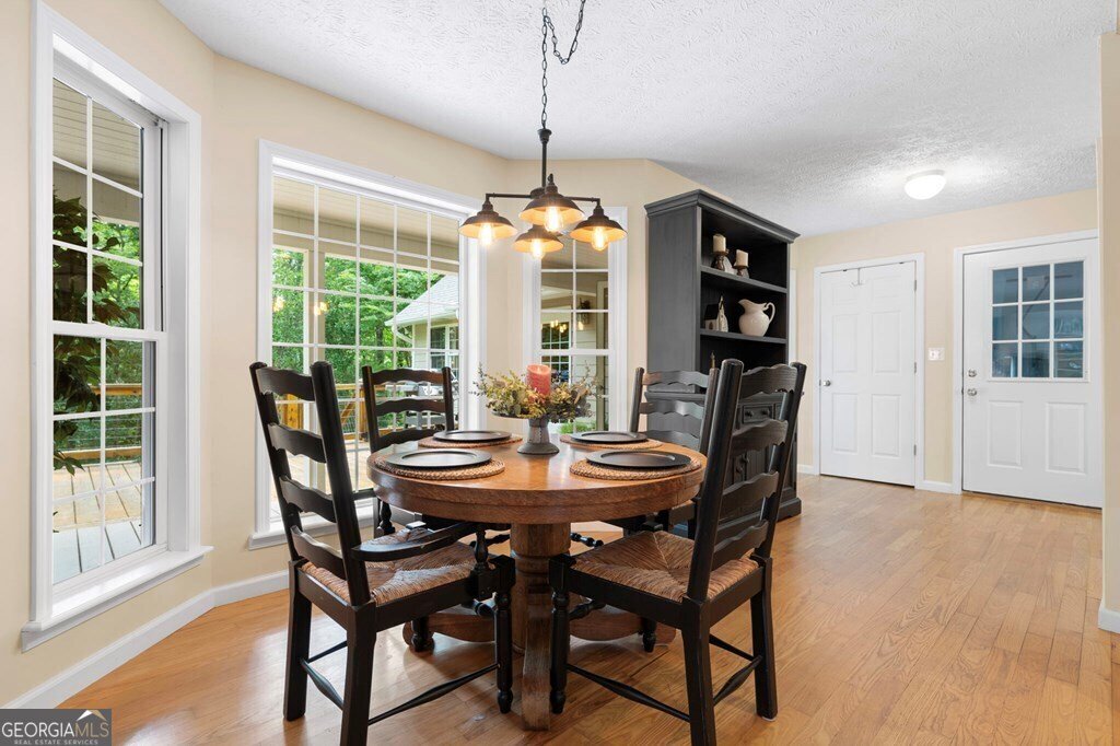 344 Cascade Lane Blue Ridge - 30