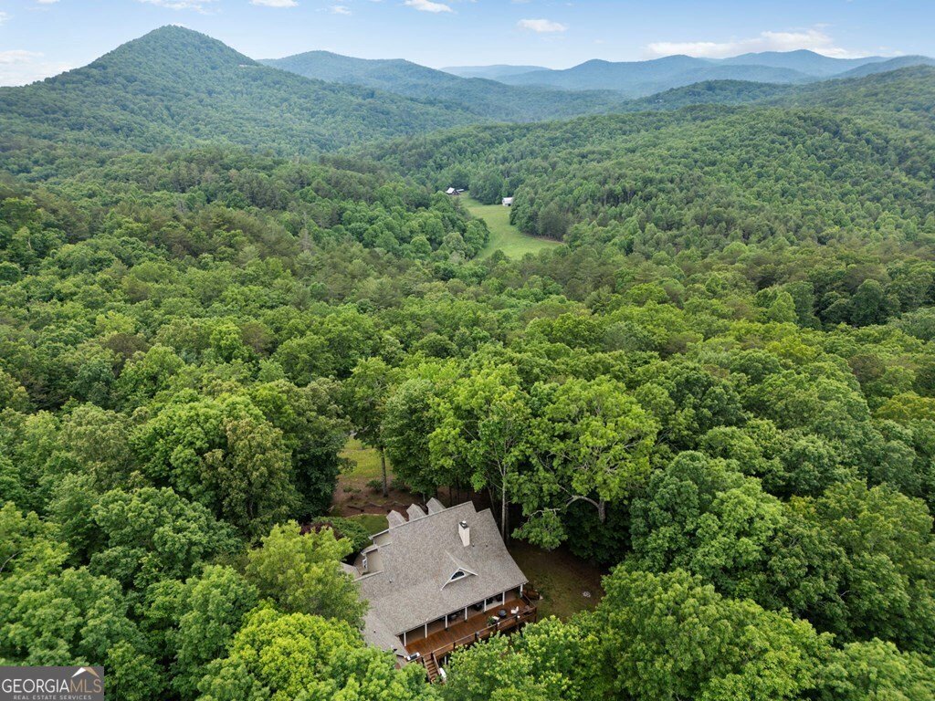 344 Cascade Lane Blue Ridge - 41