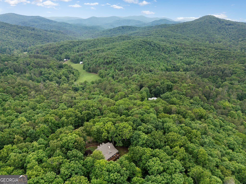344 Cascade Lane Blue Ridge - 42