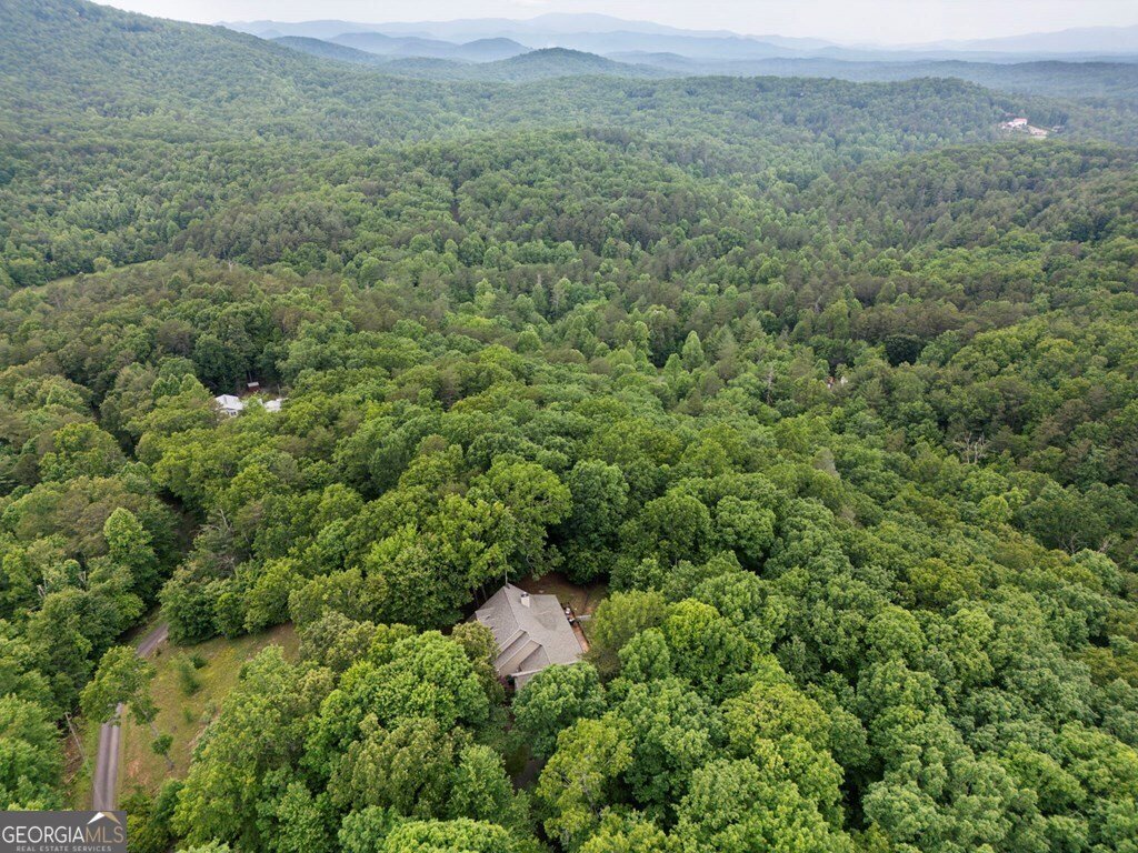 344 Cascade Lane Blue Ridge - 43