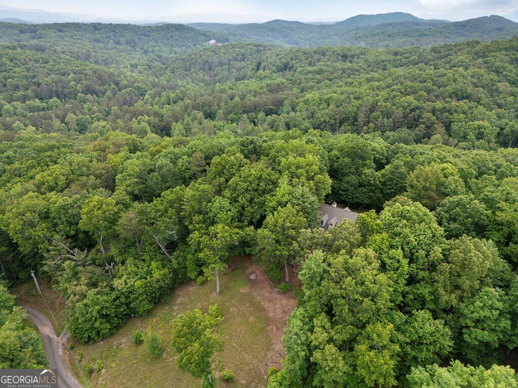 344 Cascade Lane Blue Ridge - 44