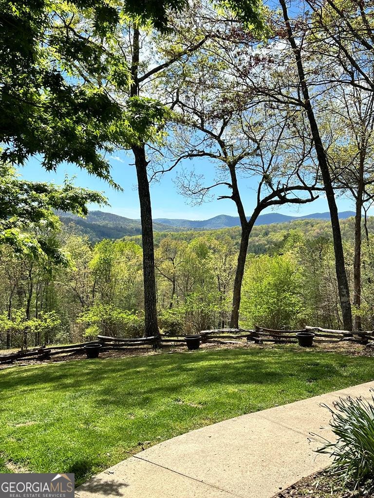 344 Cascade Lane Blue Ridge - 46
