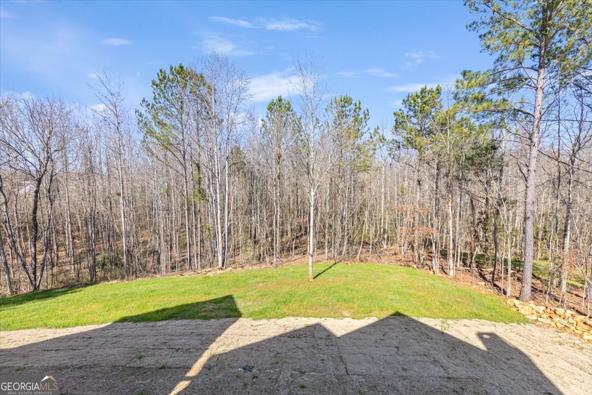 251 Preakness Way Way Forsyth - 25