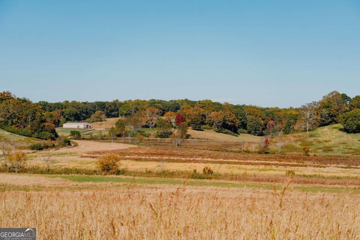 1955 Alec Mountain Road Clarkesville - 96