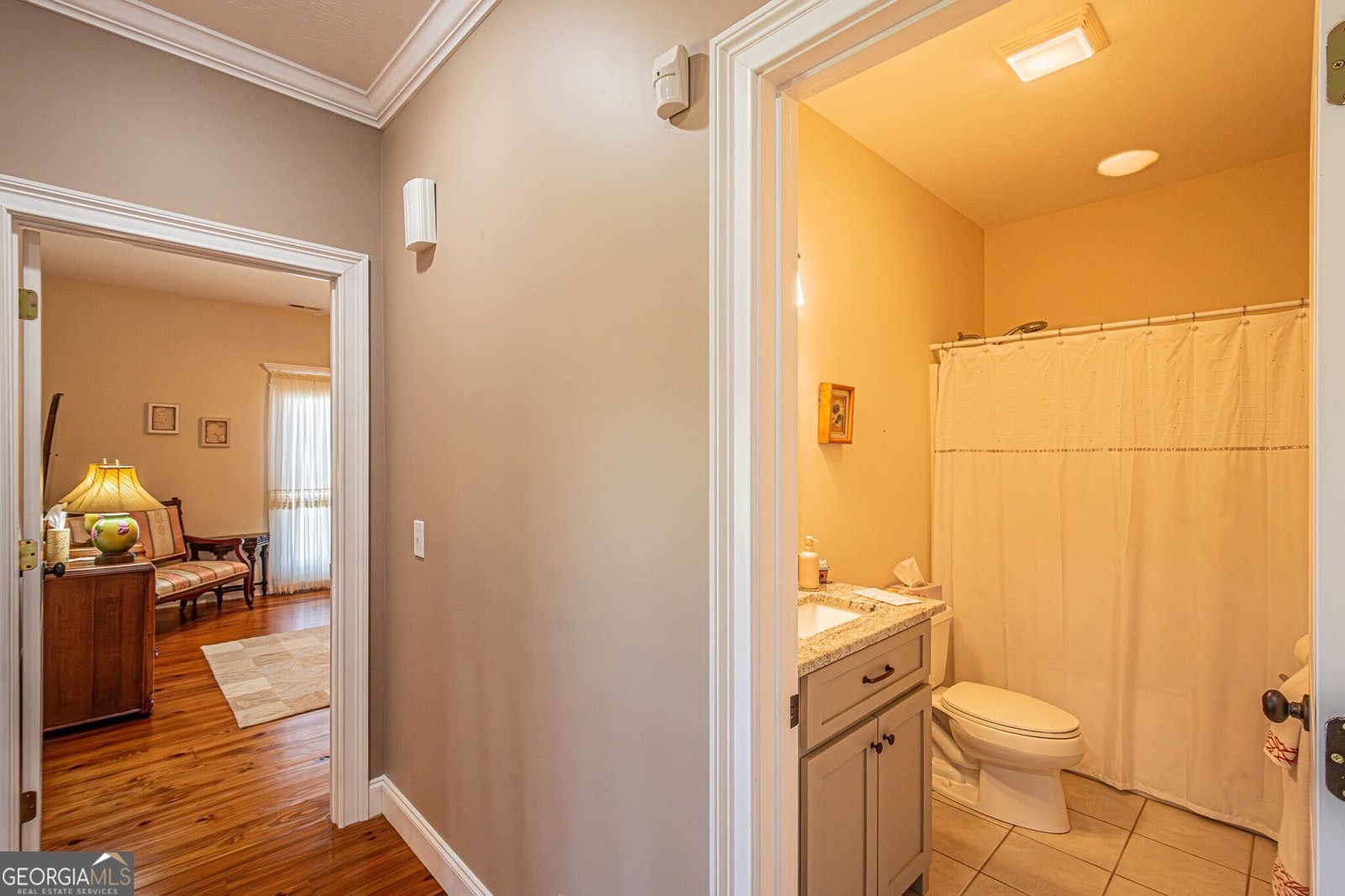 718 Hidden Lake Road Blairsville - 70