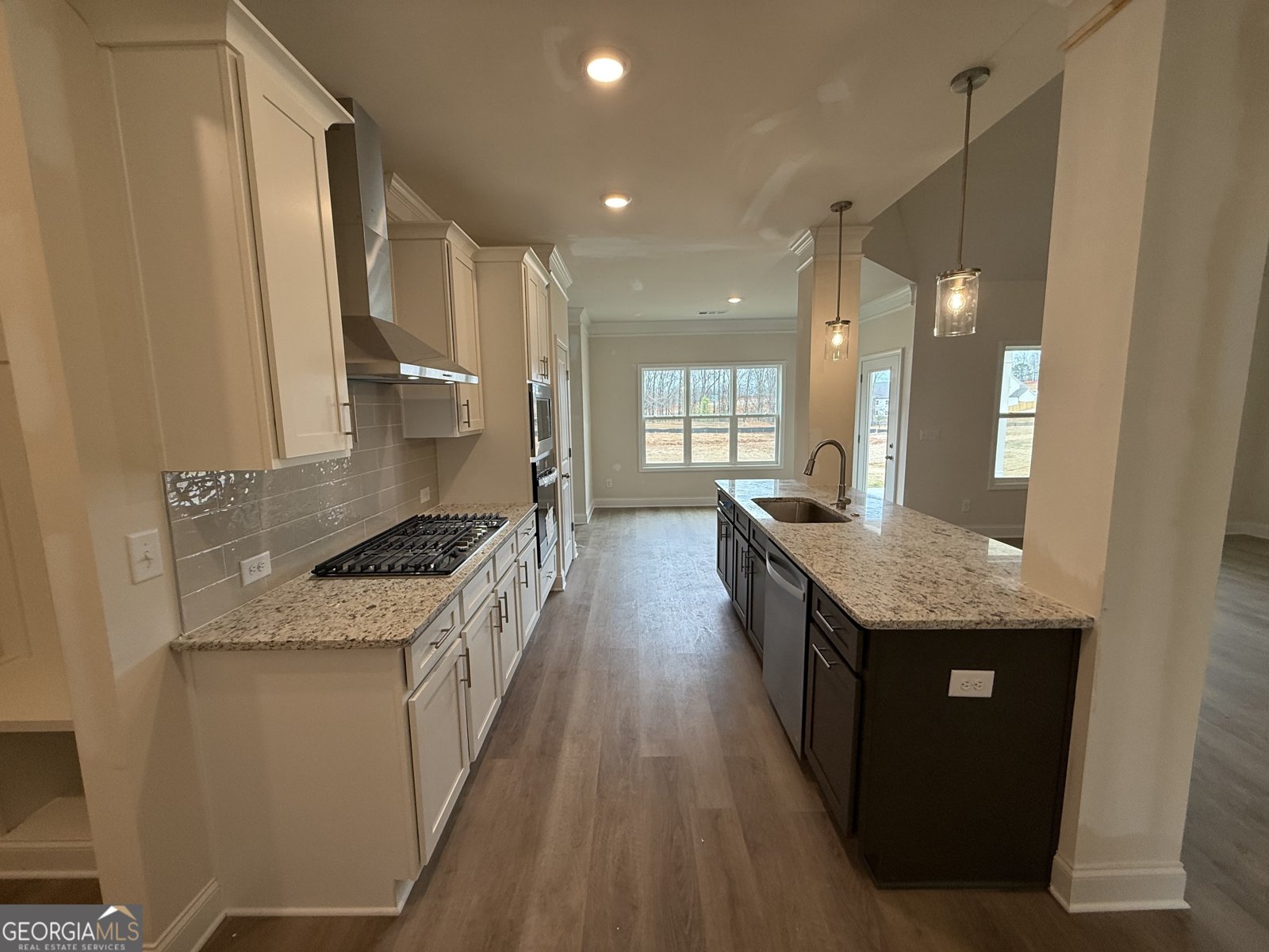 248 CHEROKEE ROSE Lane Hoschton - 21