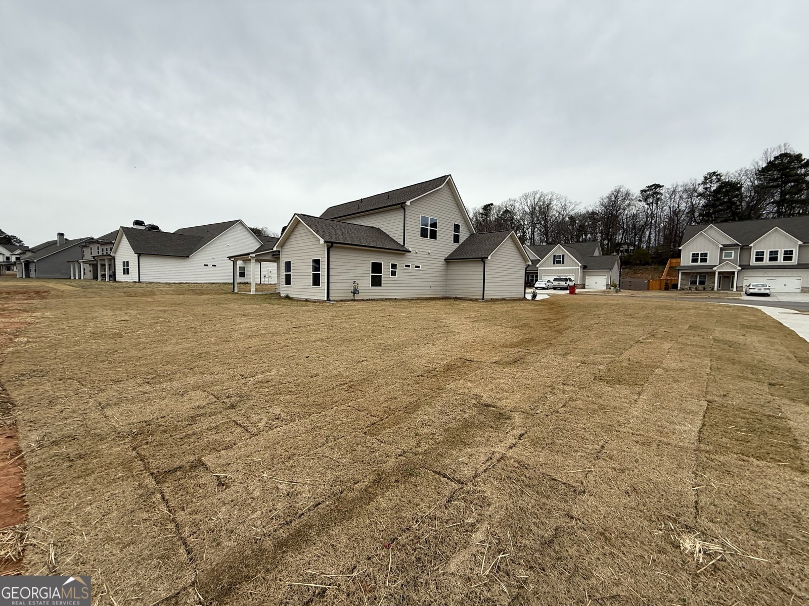 248 CHEROKEE ROSE Lane Hoschton - 38