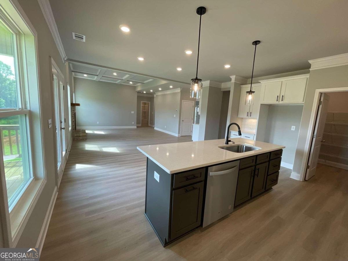 57 HIDDEN FIELDS Way Hoschton - 12