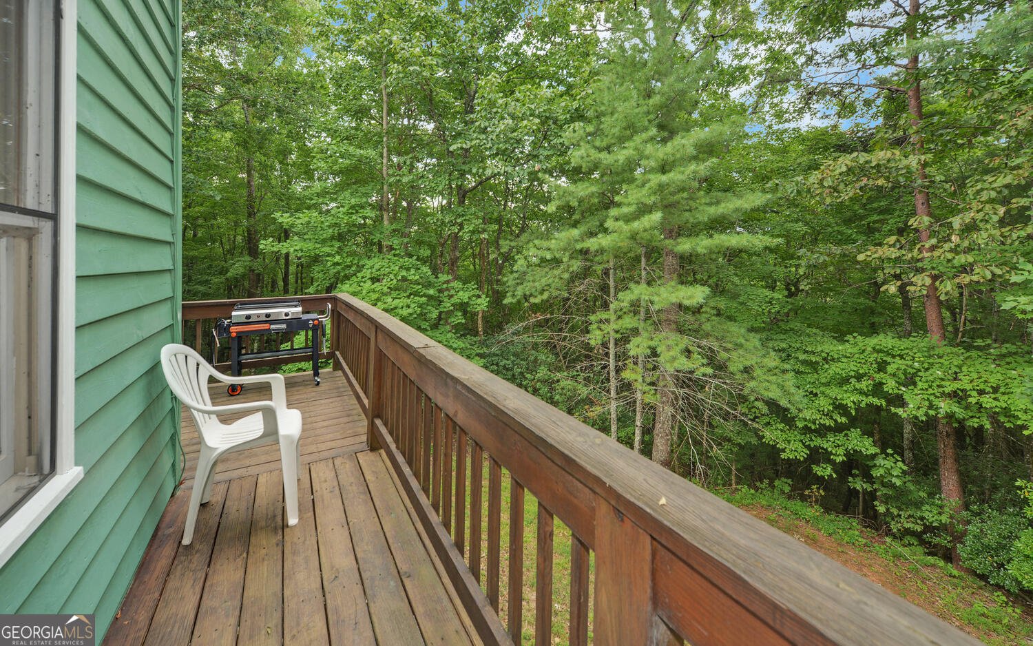 1055 Wolfpen Trail Ellijay - 25