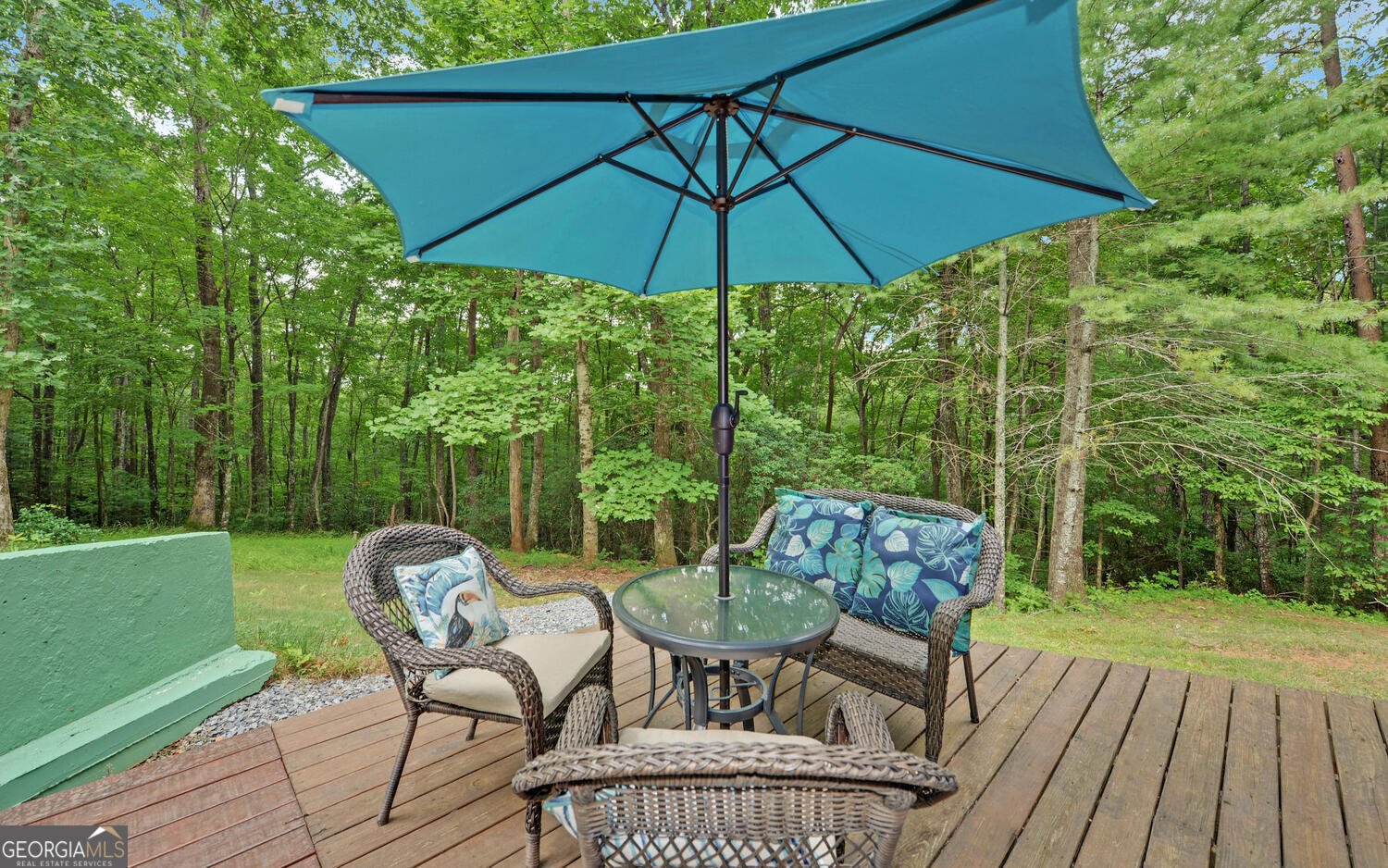 1055 Wolfpen Trail Ellijay - 37