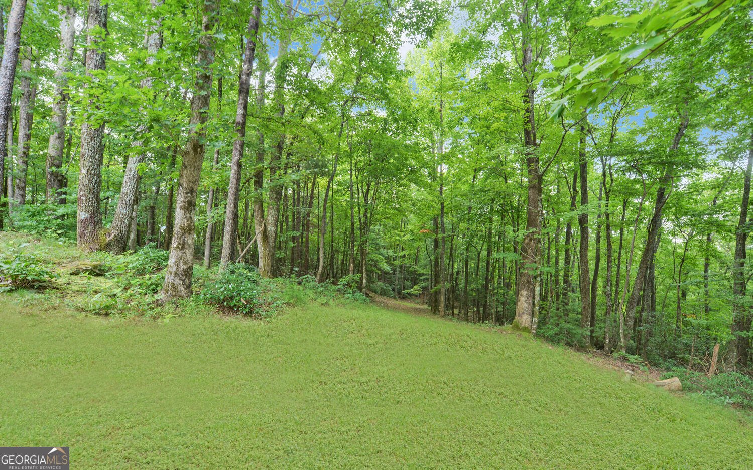 1055 Wolfpen Trail Ellijay - 42