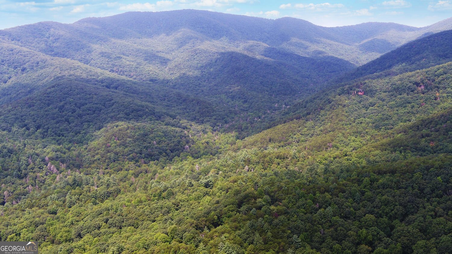 1055 Wolfpen Trail Ellijay - 51