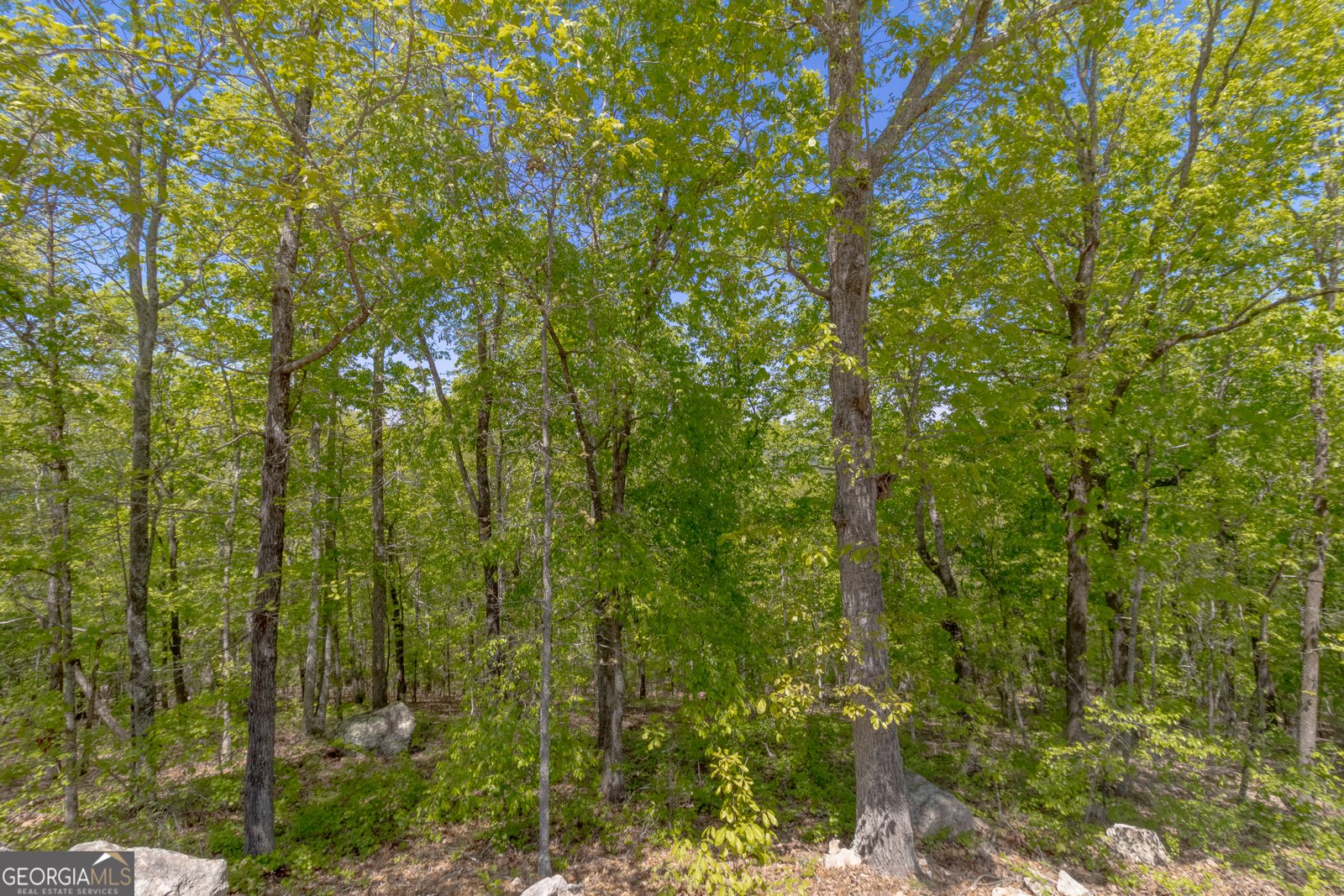 739 Barnes Mill Road Hamilton - 75