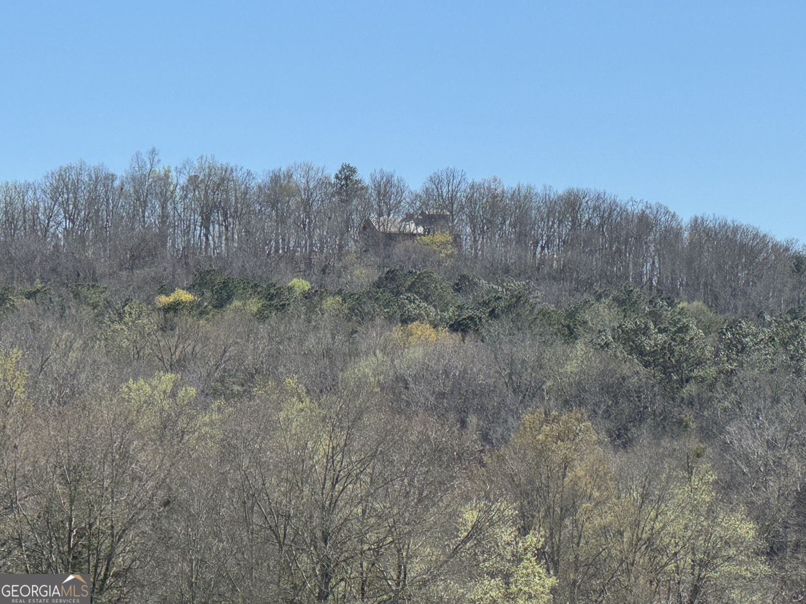 739 Barnes Mill Road Hamilton - Photo 90