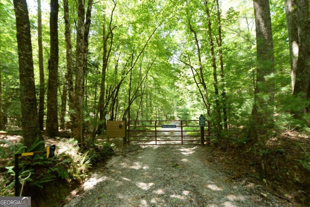 890 Mountain Lake Circle Blue Ridge - 38