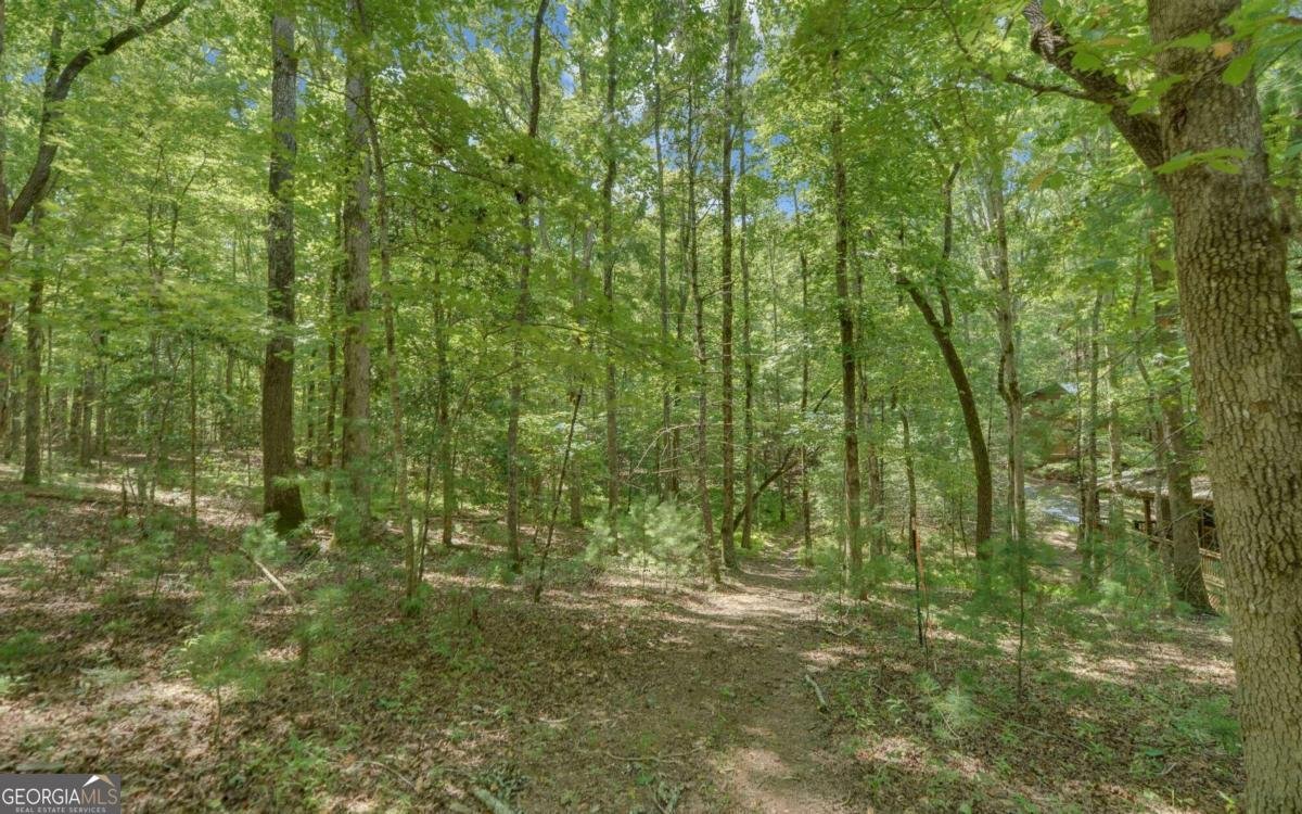 890 Mountain Lake Circle Blue Ridge - 39