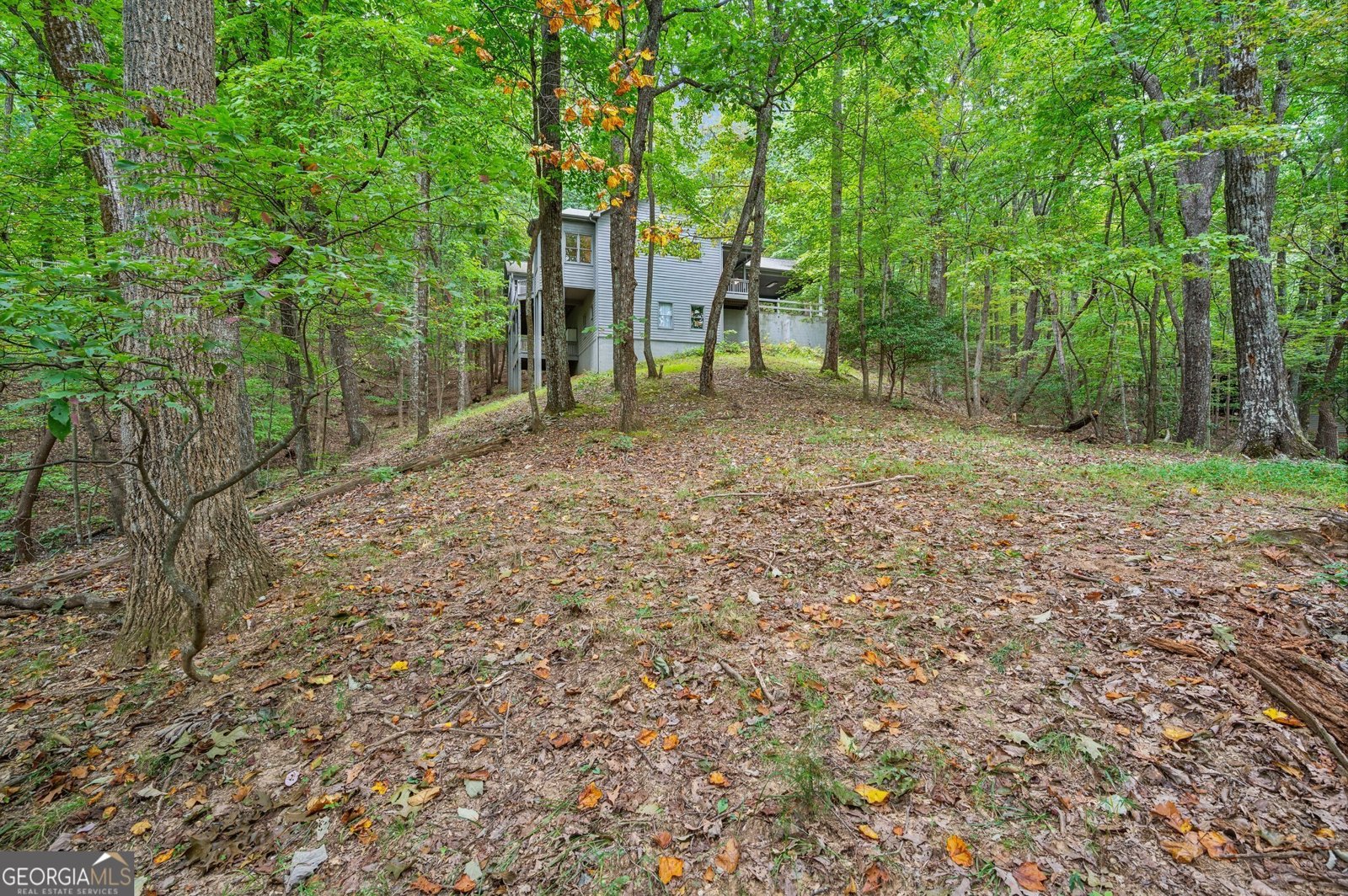 339 Hickory Trail Jasper - 25