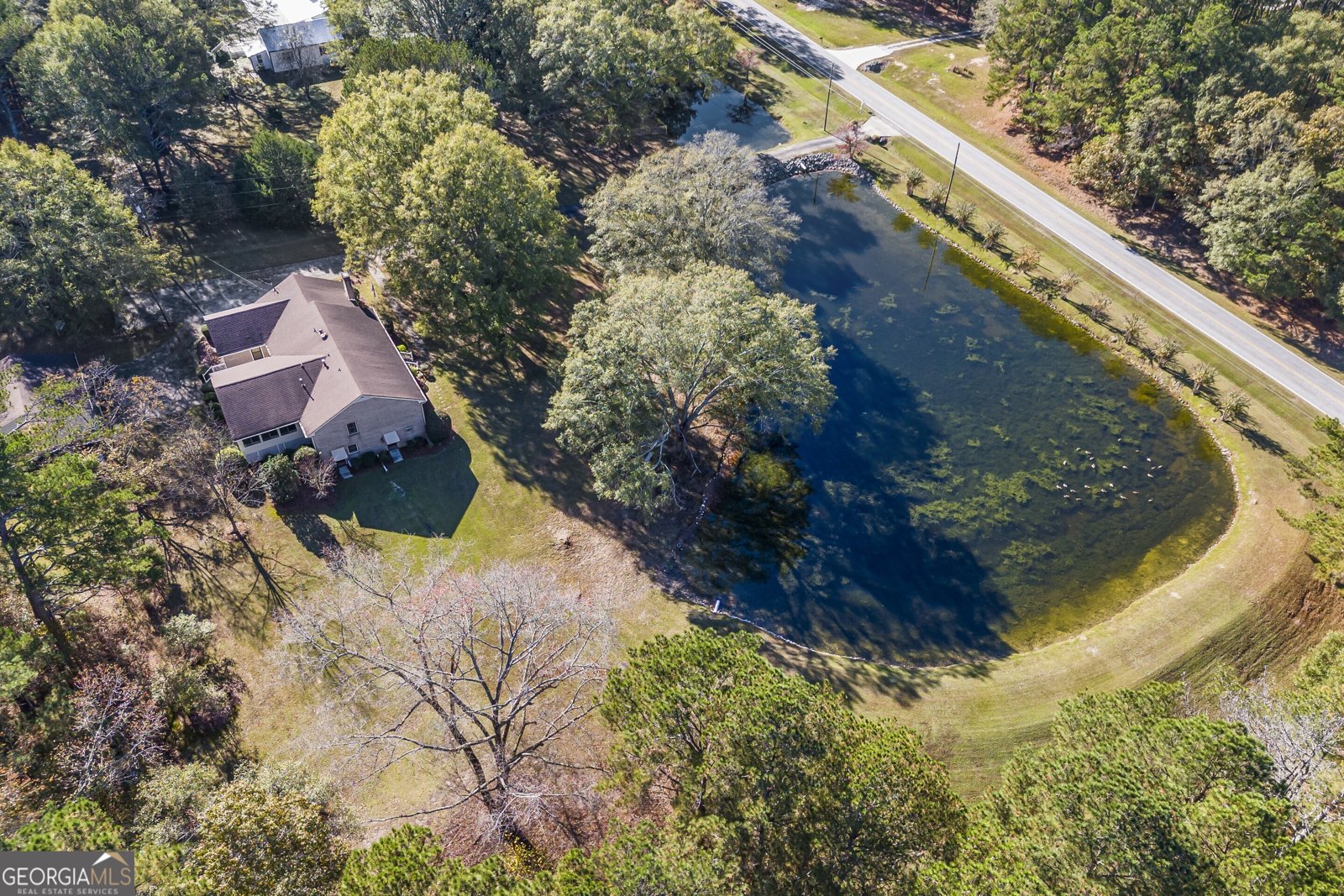 3520 Tom Brewer Road Loganville - 10