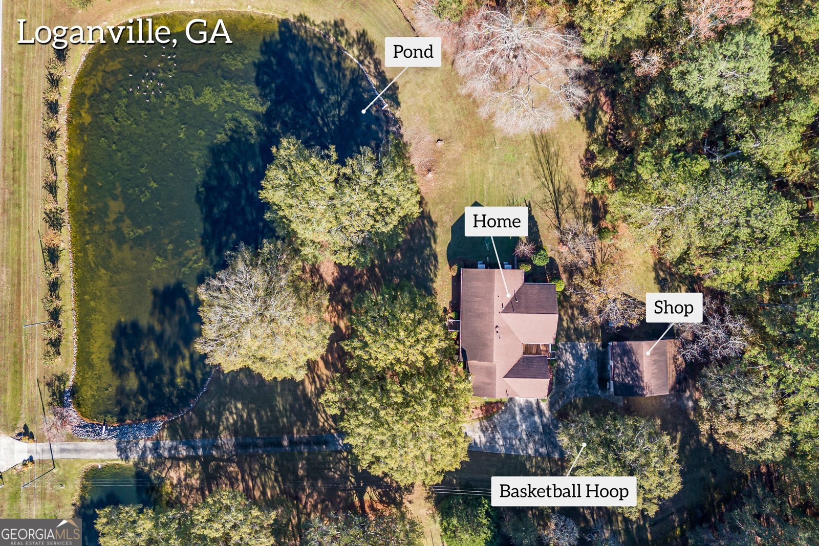 3520 Tom Brewer Road Loganville - 15
