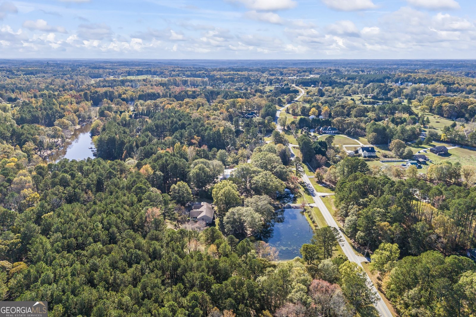 3520 Tom Brewer Road Loganville - 19