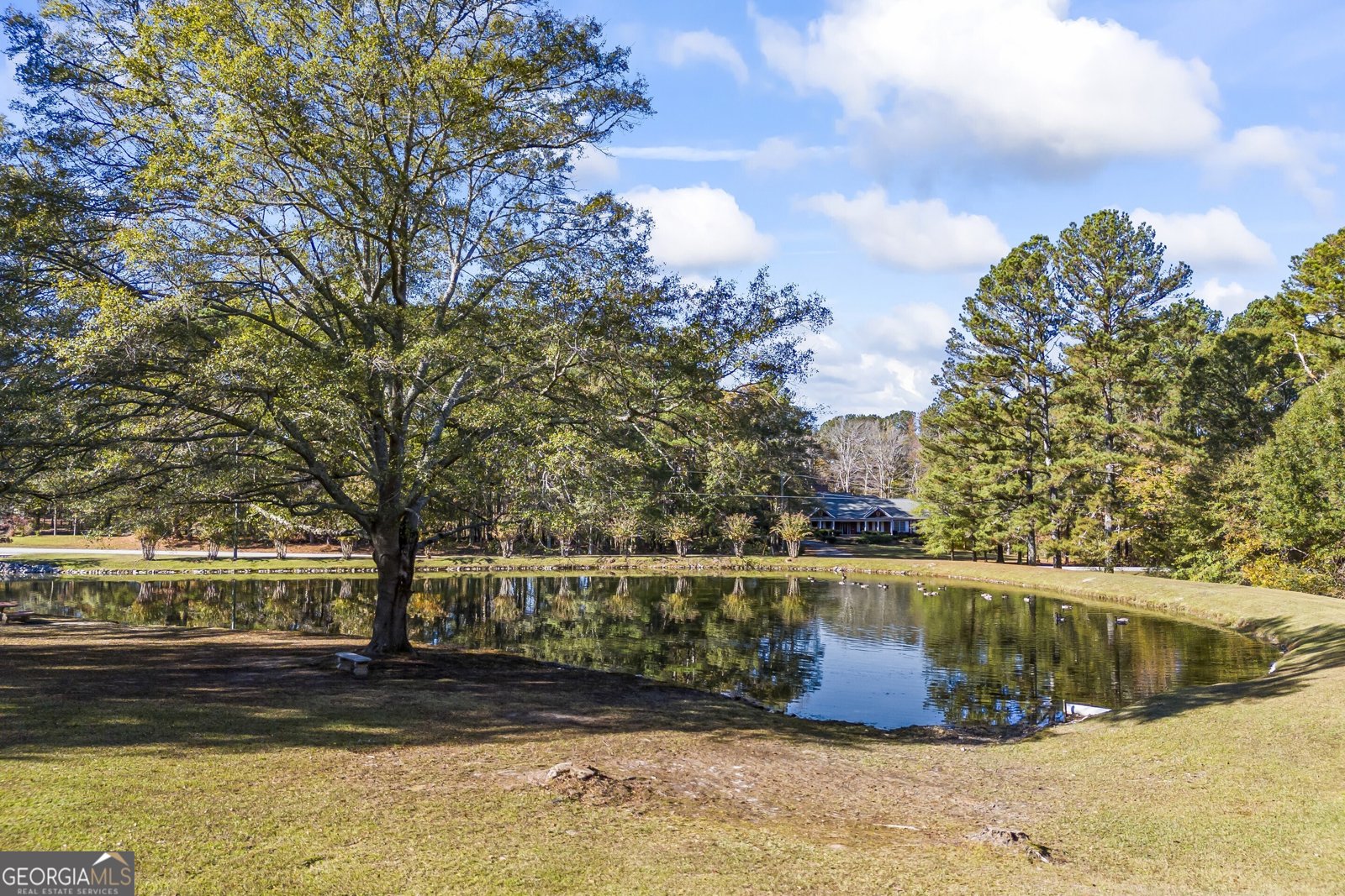 3520 Tom Brewer Road Loganville - 2