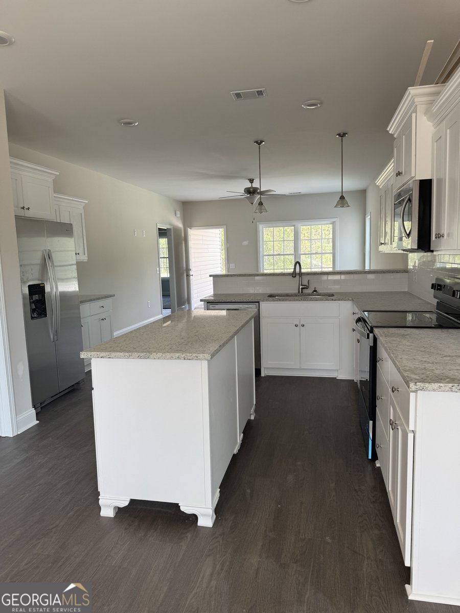249 Lanier Road Ne Ludowici - 3