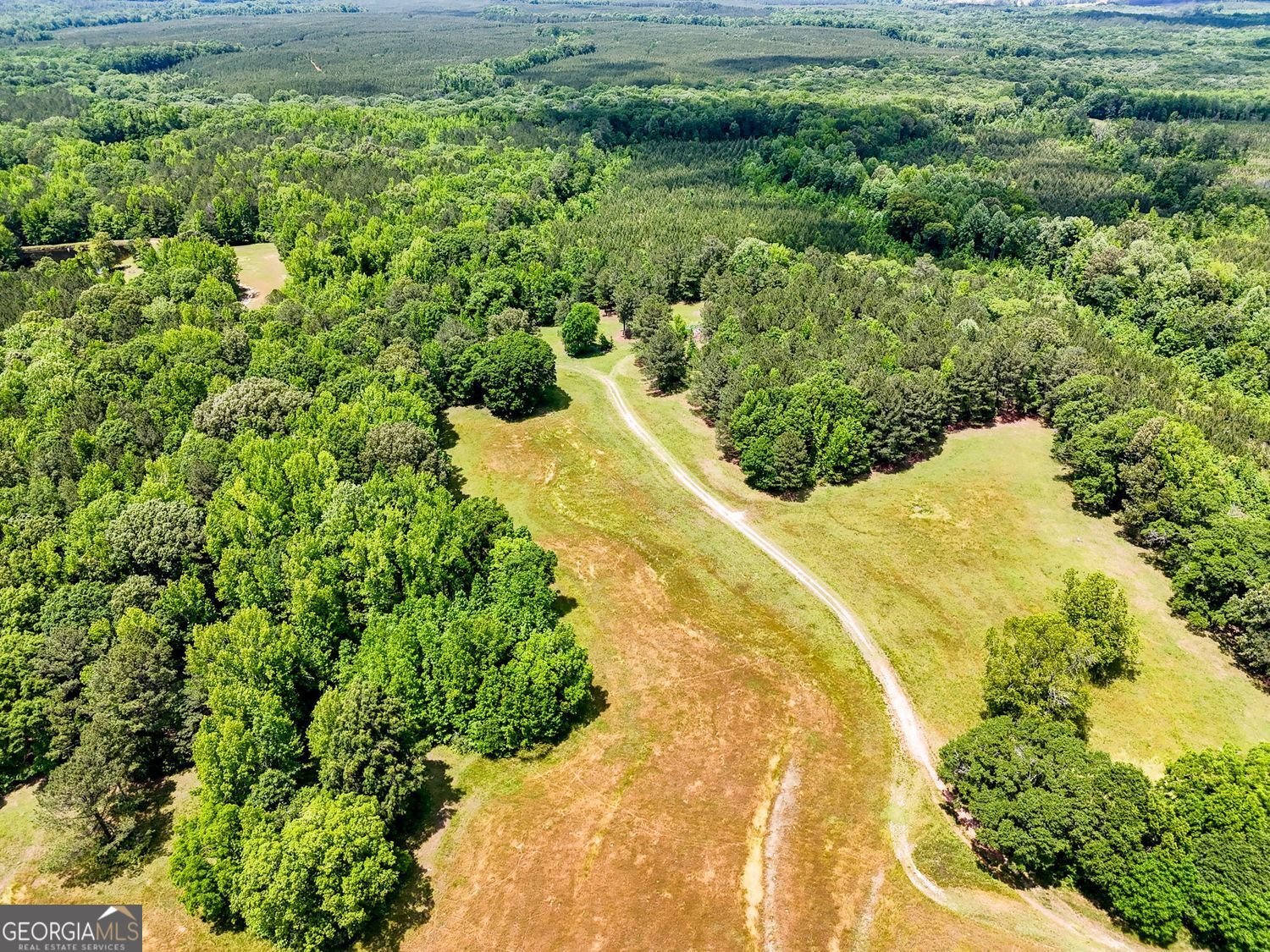 8272 Old Zebulon Road Molena - 17