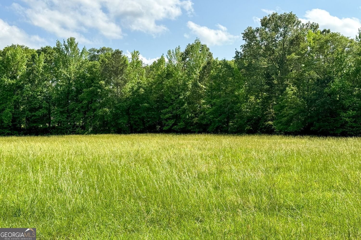 8272 Old Zebulon Road Molena - 23