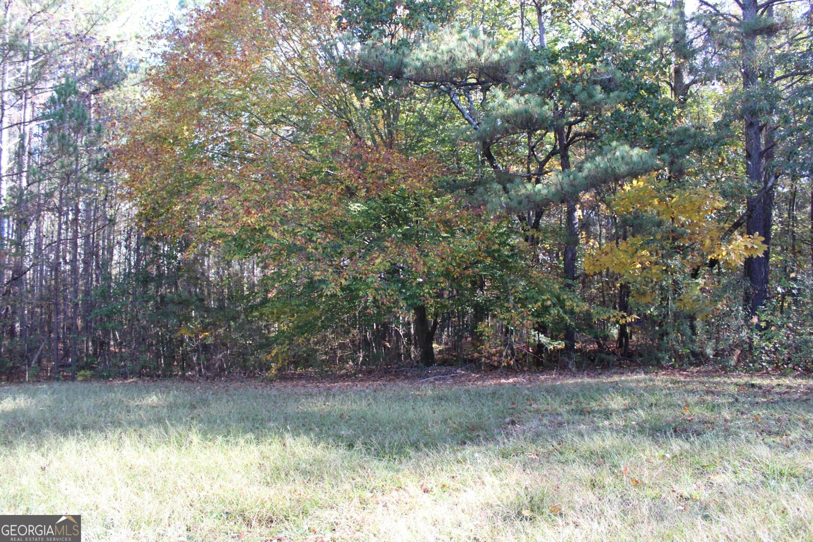 1372 Auburn Road Dacula - 10