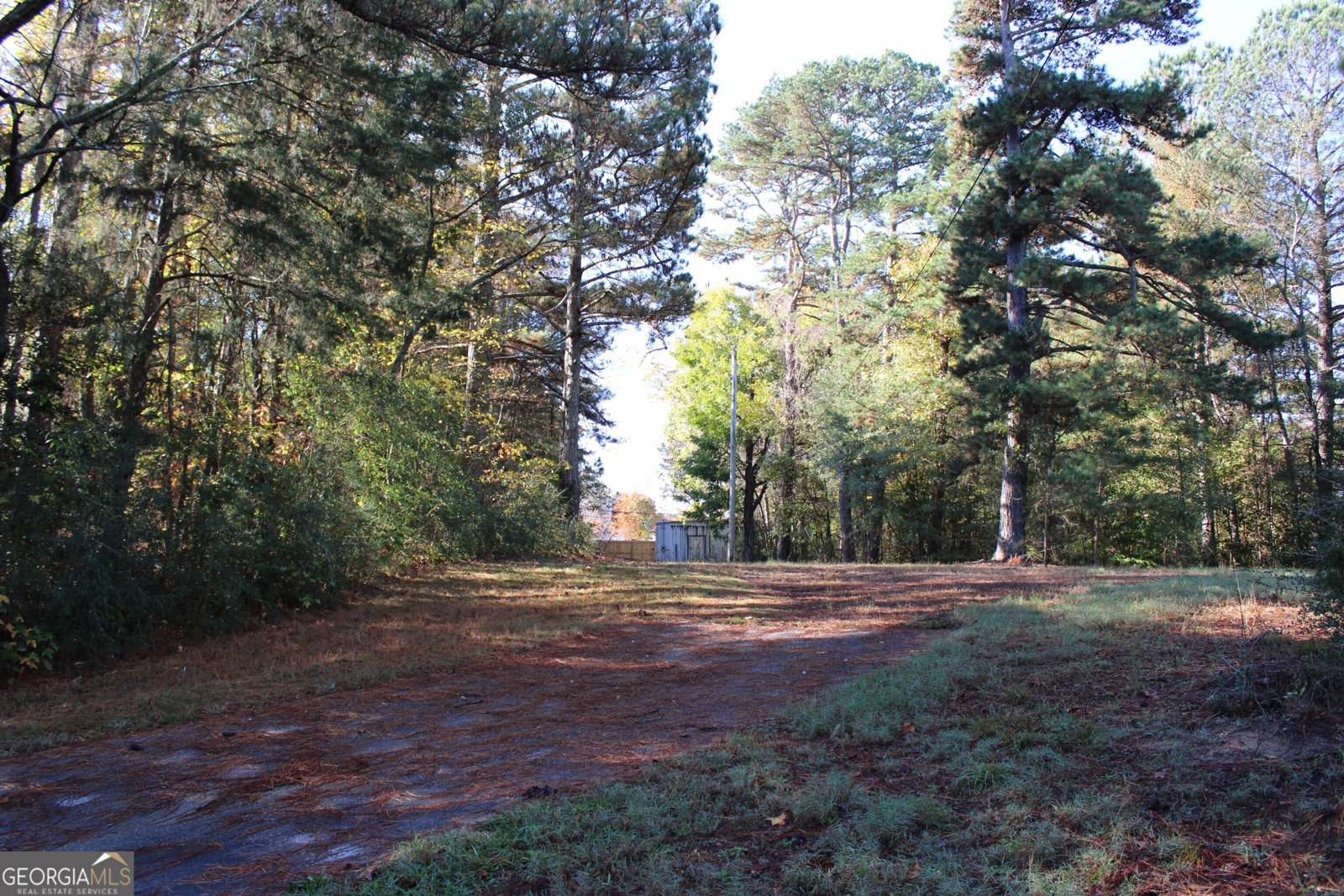 1372 Auburn Road Dacula - 11