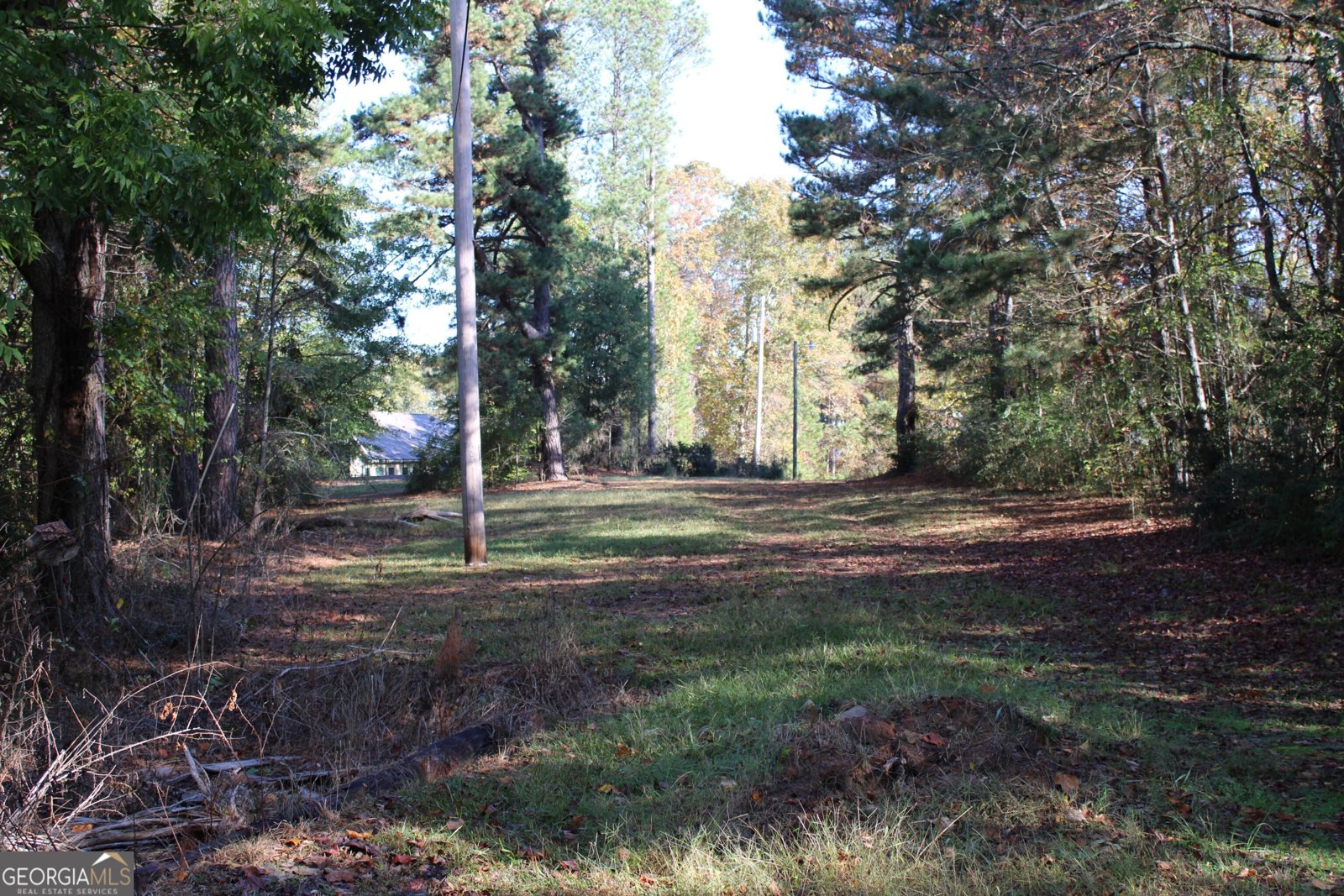 1372 Auburn Road Dacula - 7
