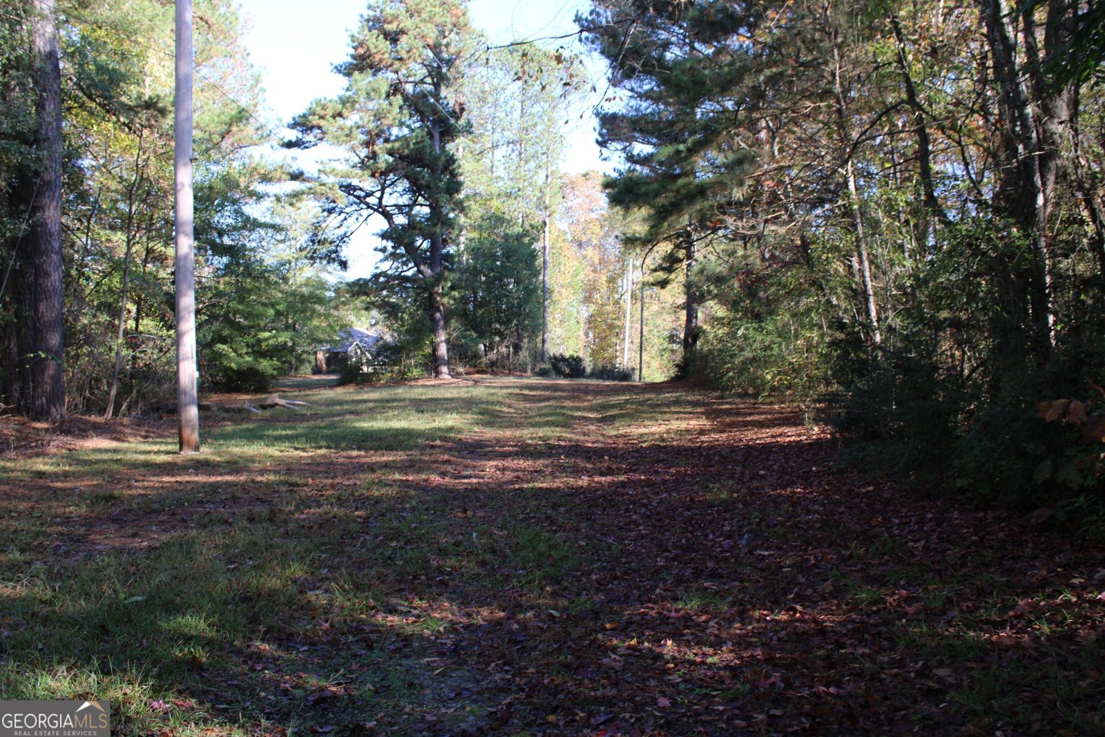 1372 Auburn Road Dacula - 8