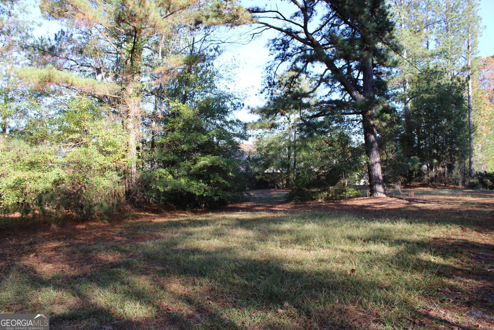1372 Auburn Road Dacula - 9