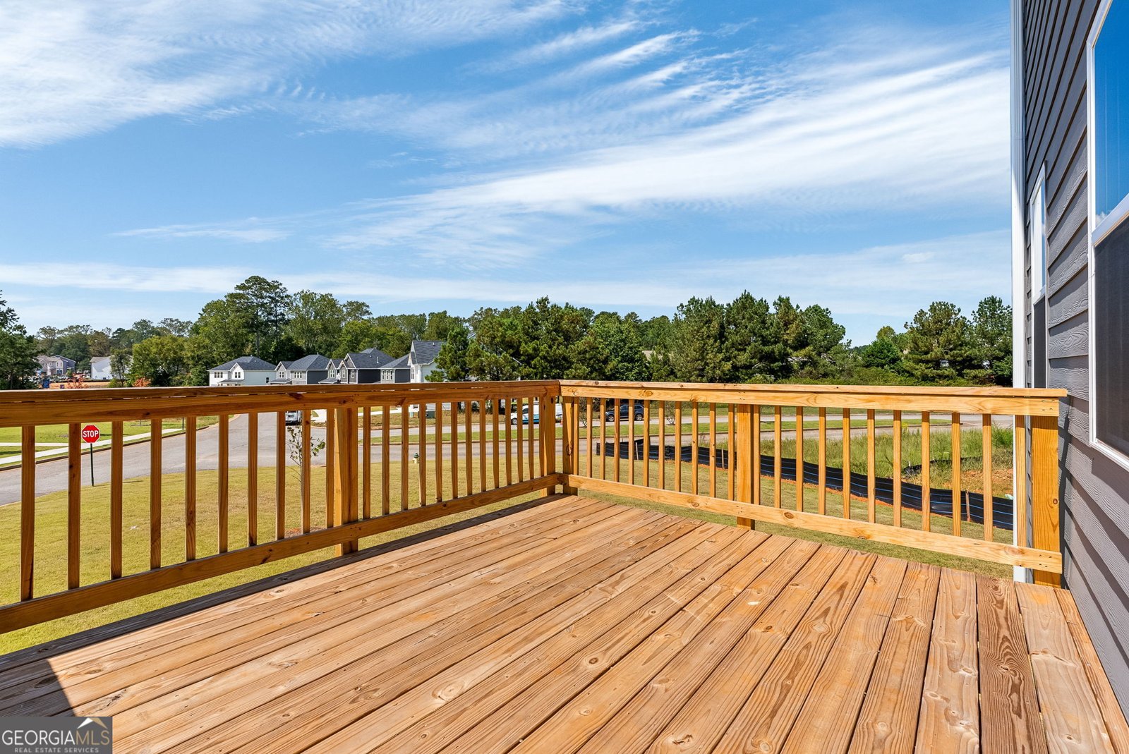 205 Freshwater Court Lagrange - 29