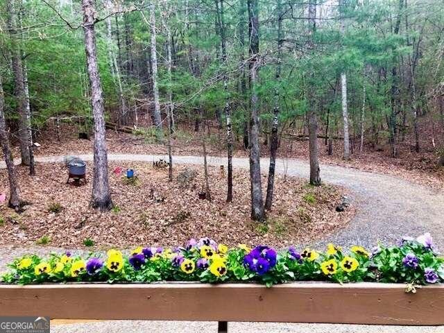 147 Blair Oaks Drive Blairsville - 14