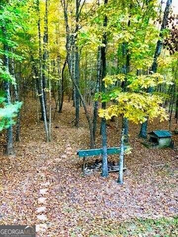 147 Blair Oaks Drive Blairsville - 16