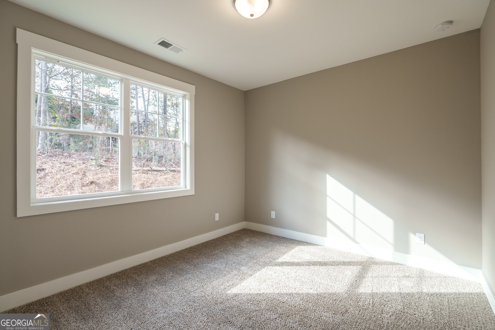 312 Brook Hollow Lane Loganville - 34