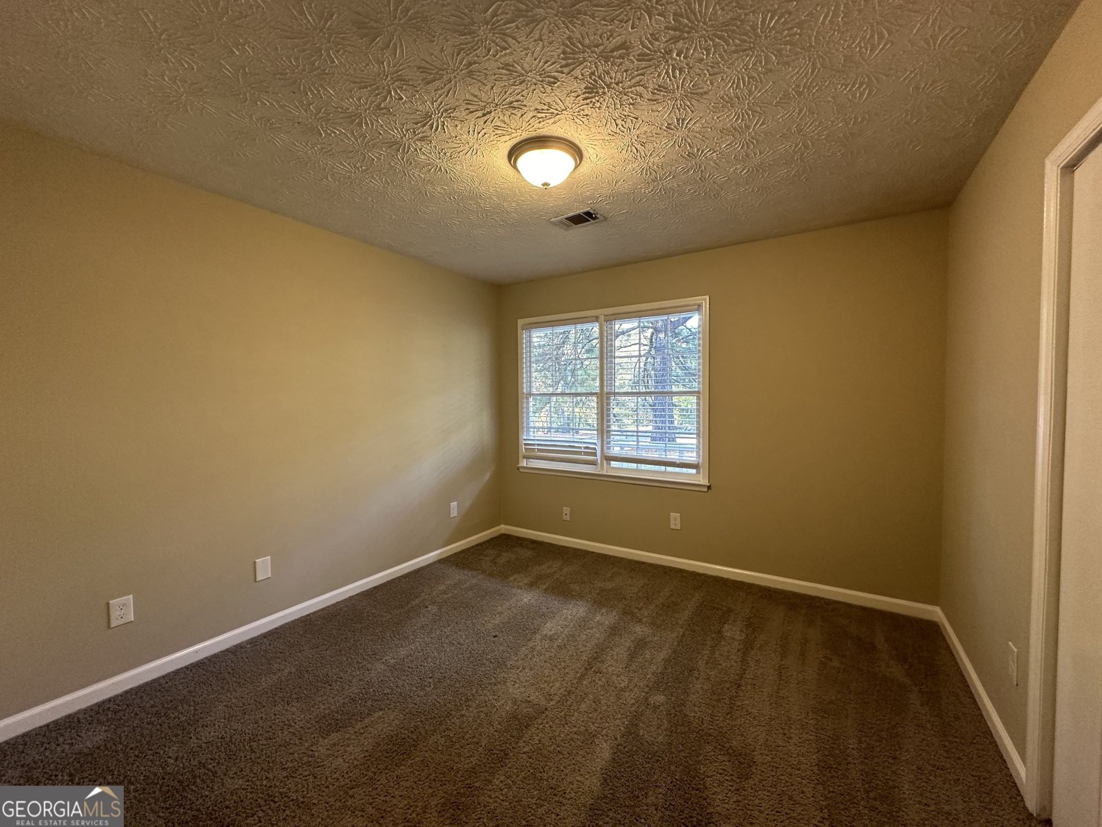 245 Remington Trail Ellenwood - 12
