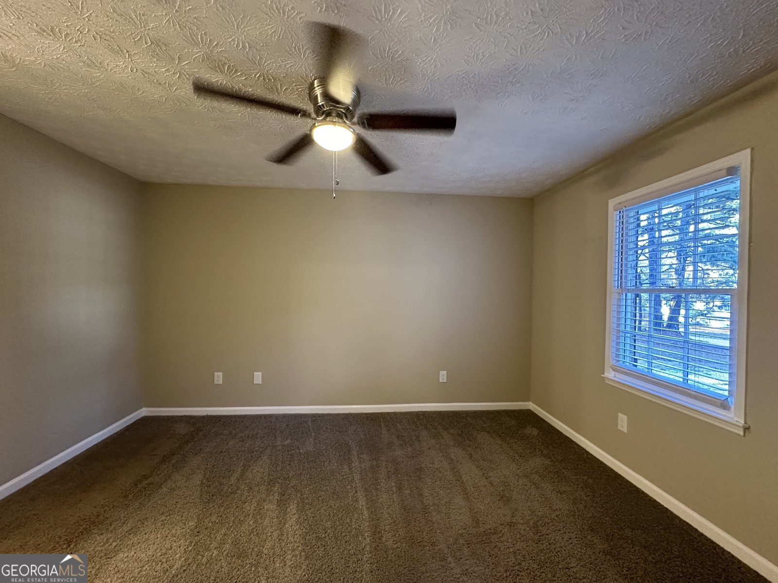 245 Remington Trail Ellenwood - 7