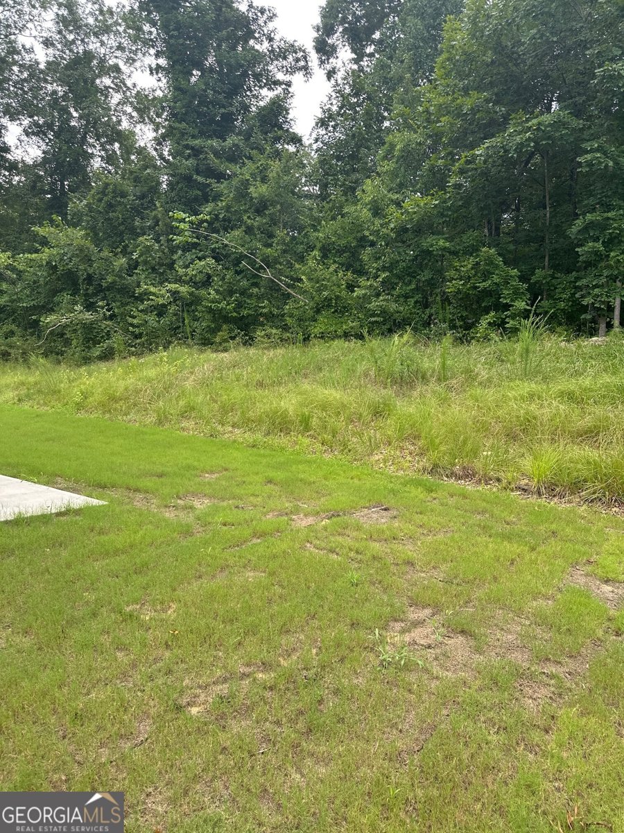 2260 Highridge Point Drive Lithia Springs - 39