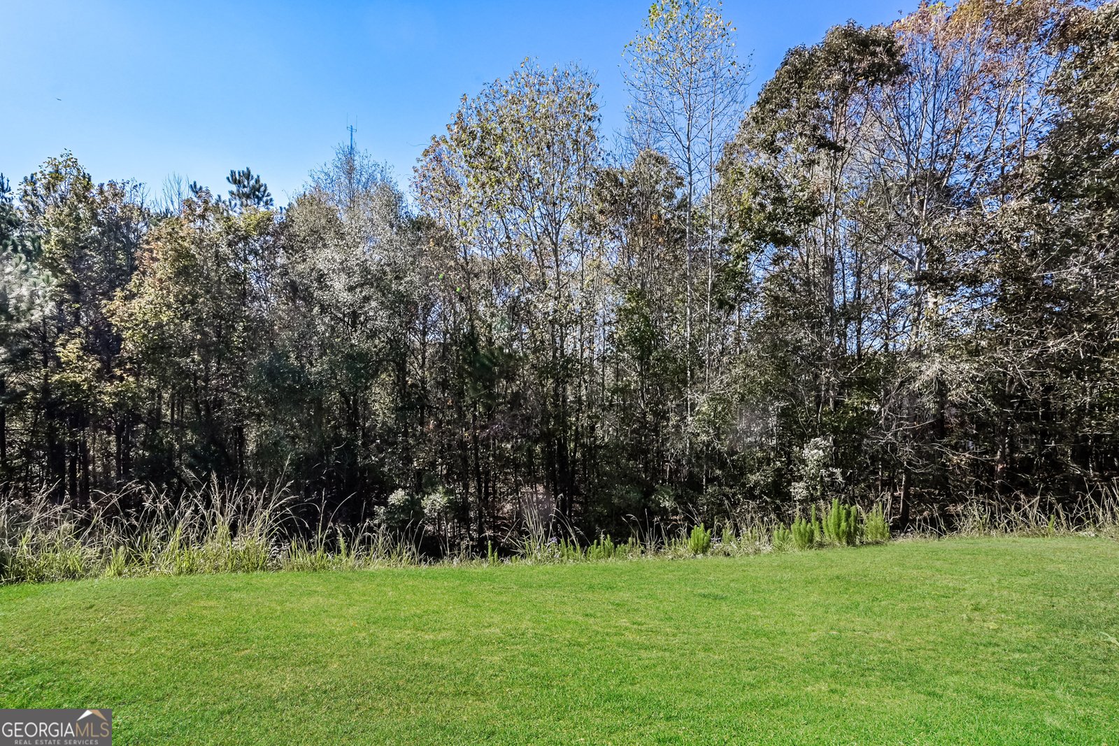 611 Shadow Valley Court Lithonia - 3